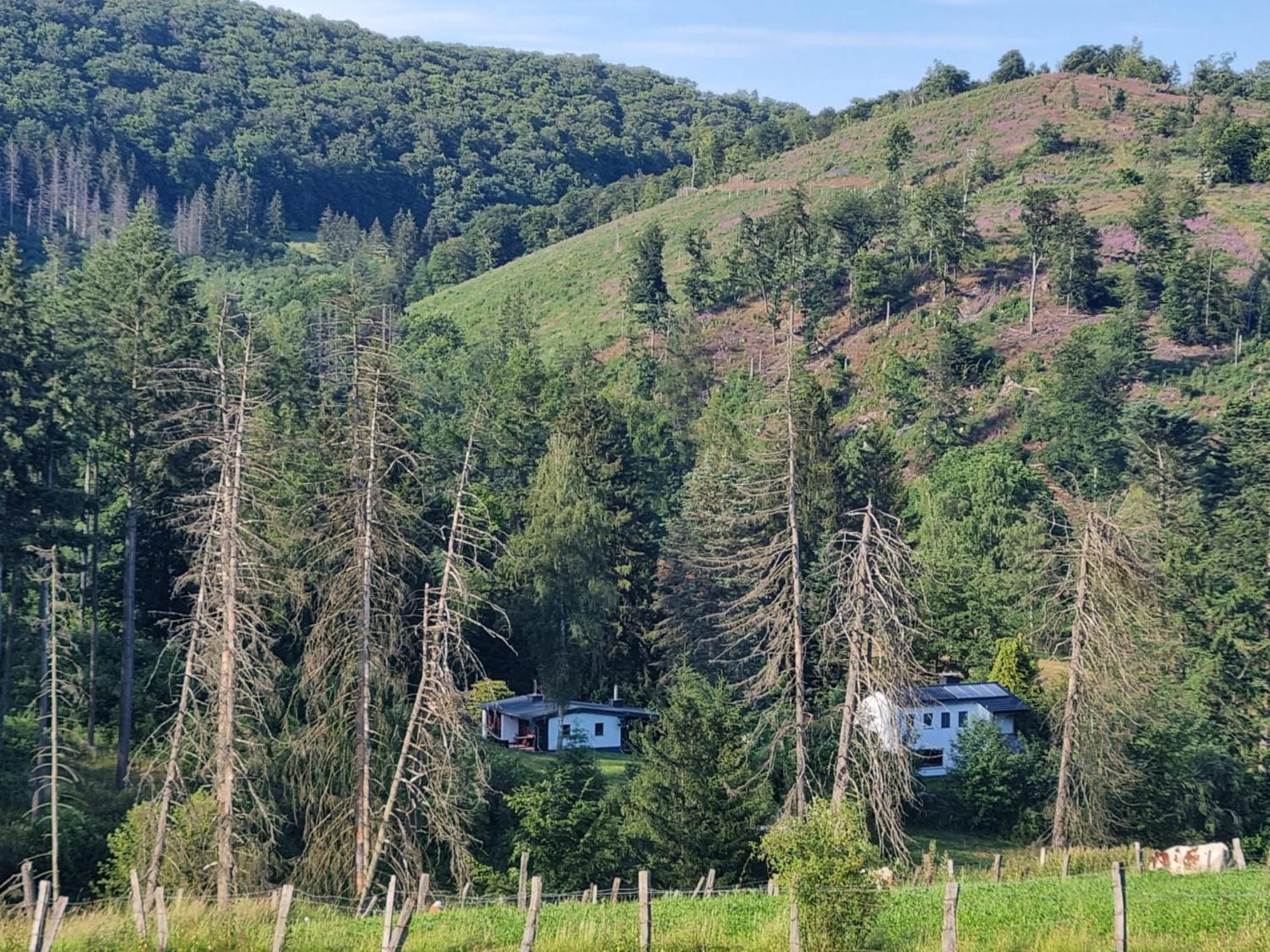 Explorer'S Lodge & Camping Helminghausen Luaran gambar